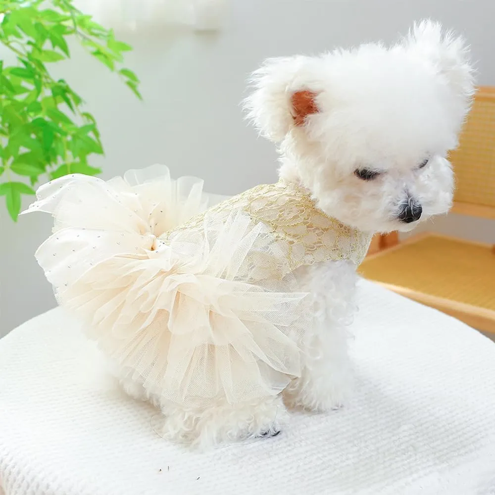ANIAC Small Dog Dresses,Girl Puppy Princess Tutu Dress with Bow Knot,Cat Outfit,Chihuahua Yorkie Clothes for Birthday Wedding (Small, GL)