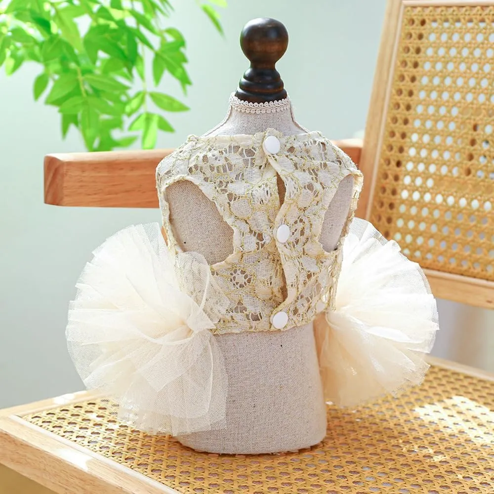 ANIAC Small Dog Dresses,Girl Puppy Princess Tutu Dress with Bow Knot,Cat Outfit,Chihuahua Yorkie Clothes for Birthday Wedding (Small, GL)