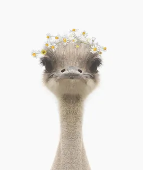 Baby Emu Daisy Crown Print A4