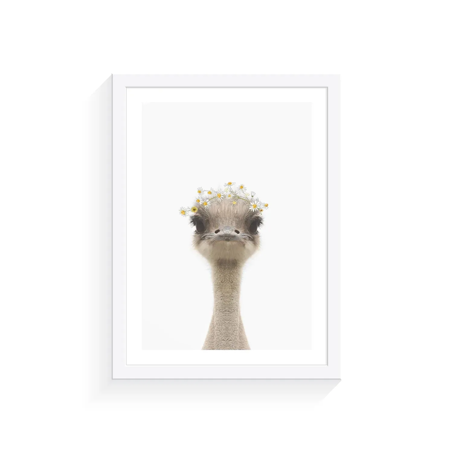Baby Emu Daisy Crown Print A4