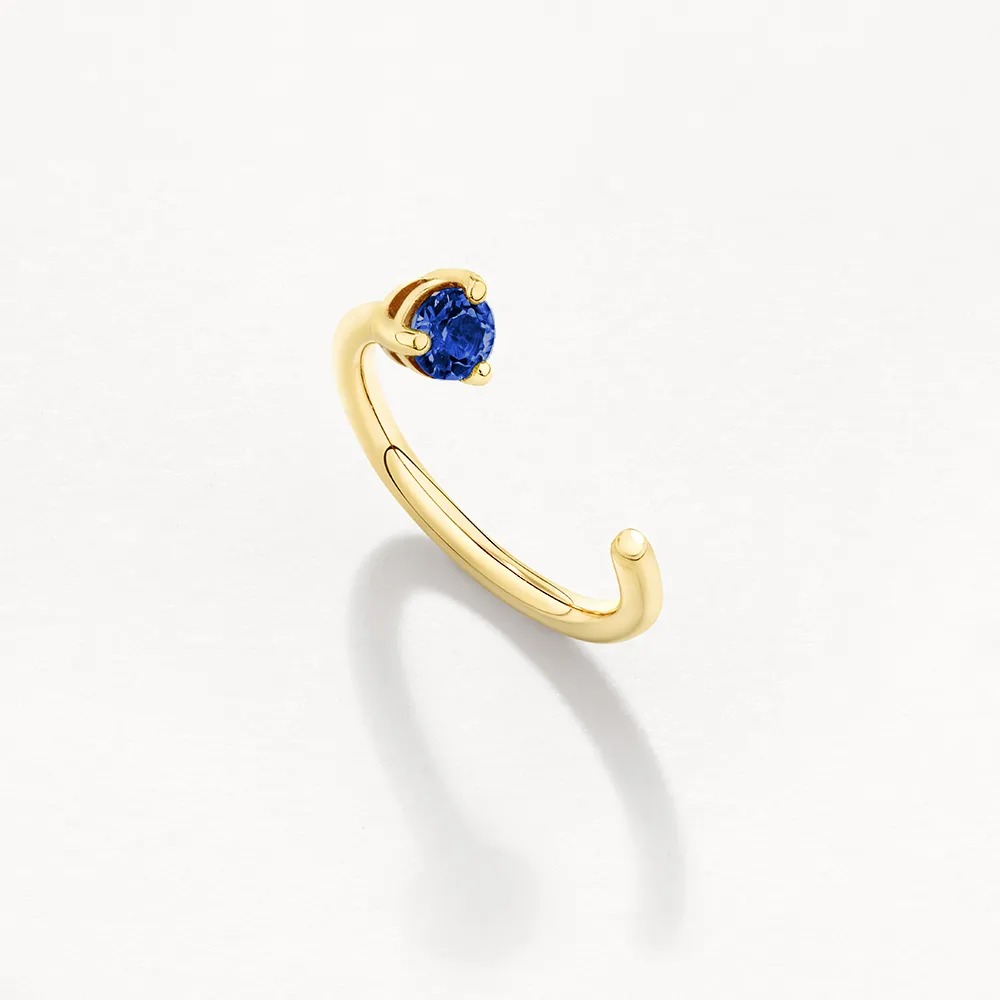 Blue Sapphire September Birthstone Hook Earrings in 10k Gold
