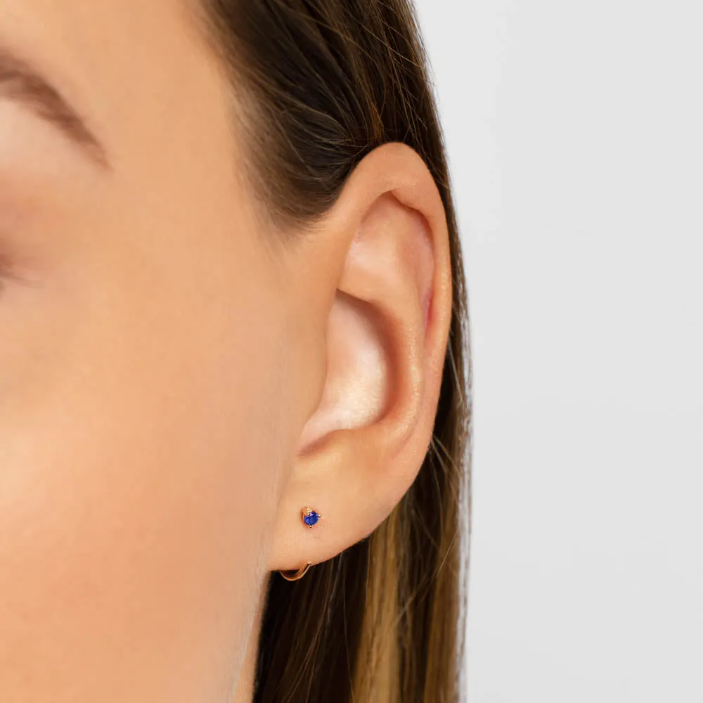 Blue Sapphire September Birthstone Hook Earrings in 10k Gold
