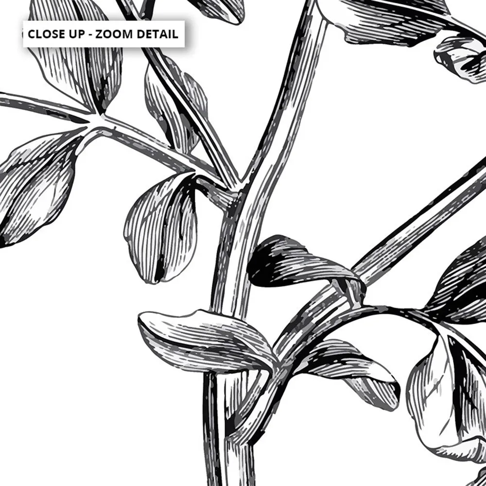 Botanical Floral Illustration I - Art Print