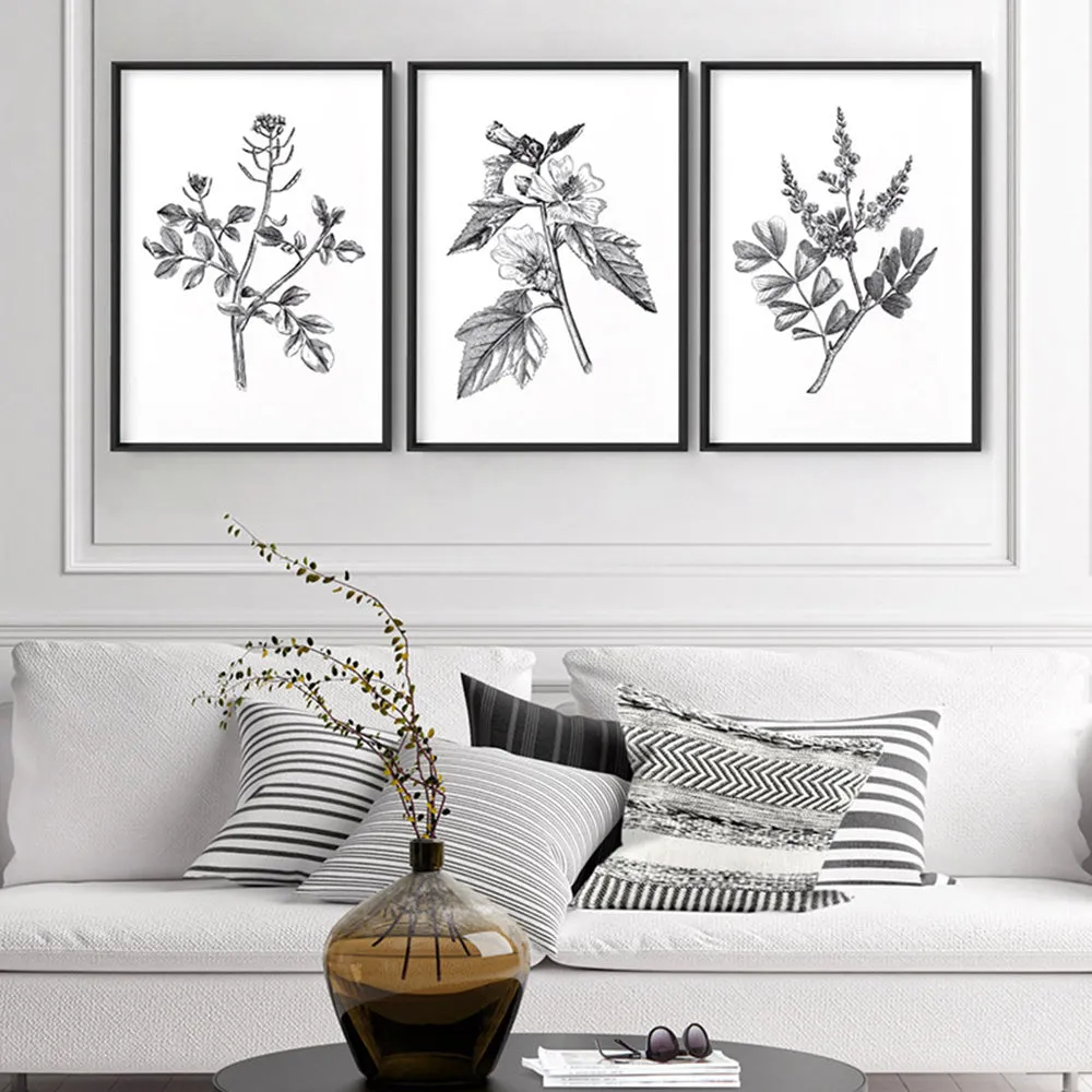 Botanical Floral Illustration I - Art Print