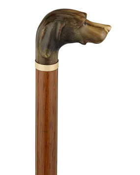 Carved Horn Dog Knob Cane