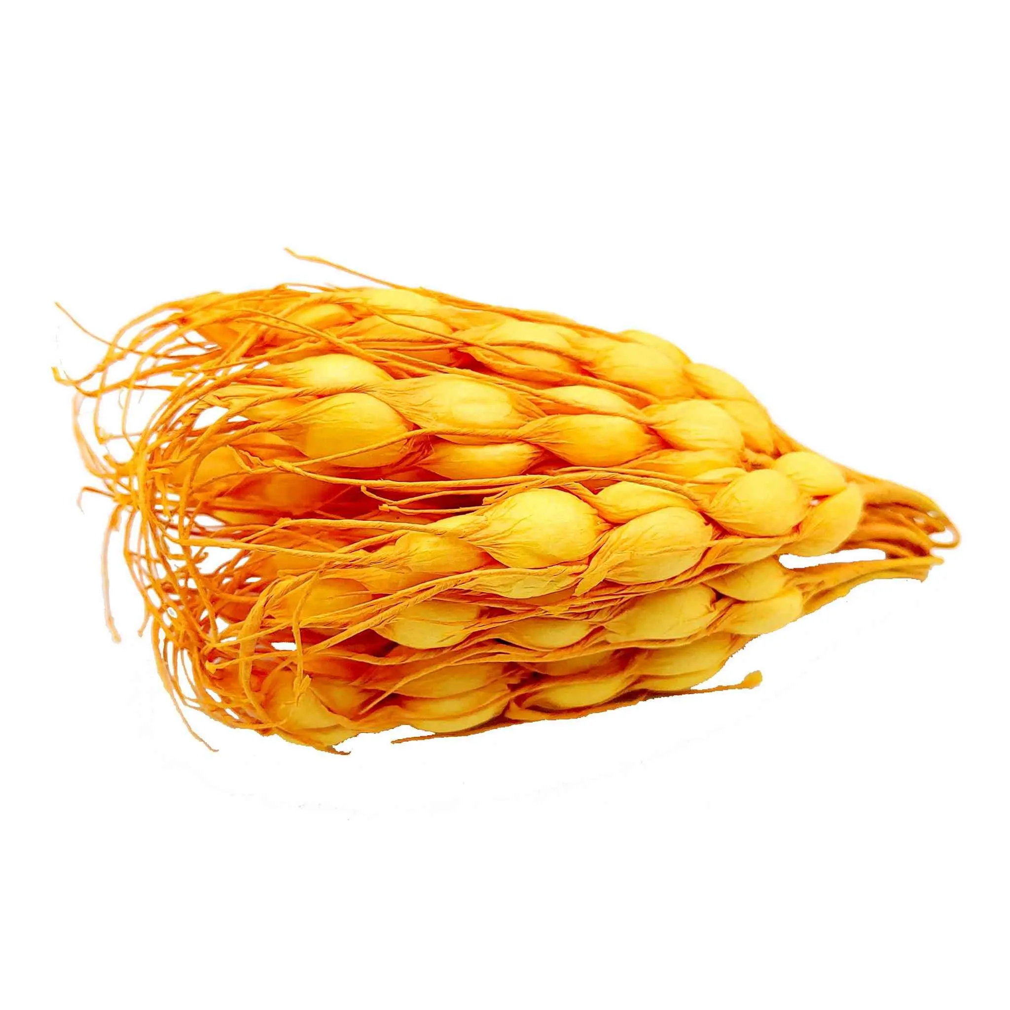 Indian Petals Decorative Artificial Wheat Filler Stick for Decoration Or Craft (15 cm , Foam) - Design 56