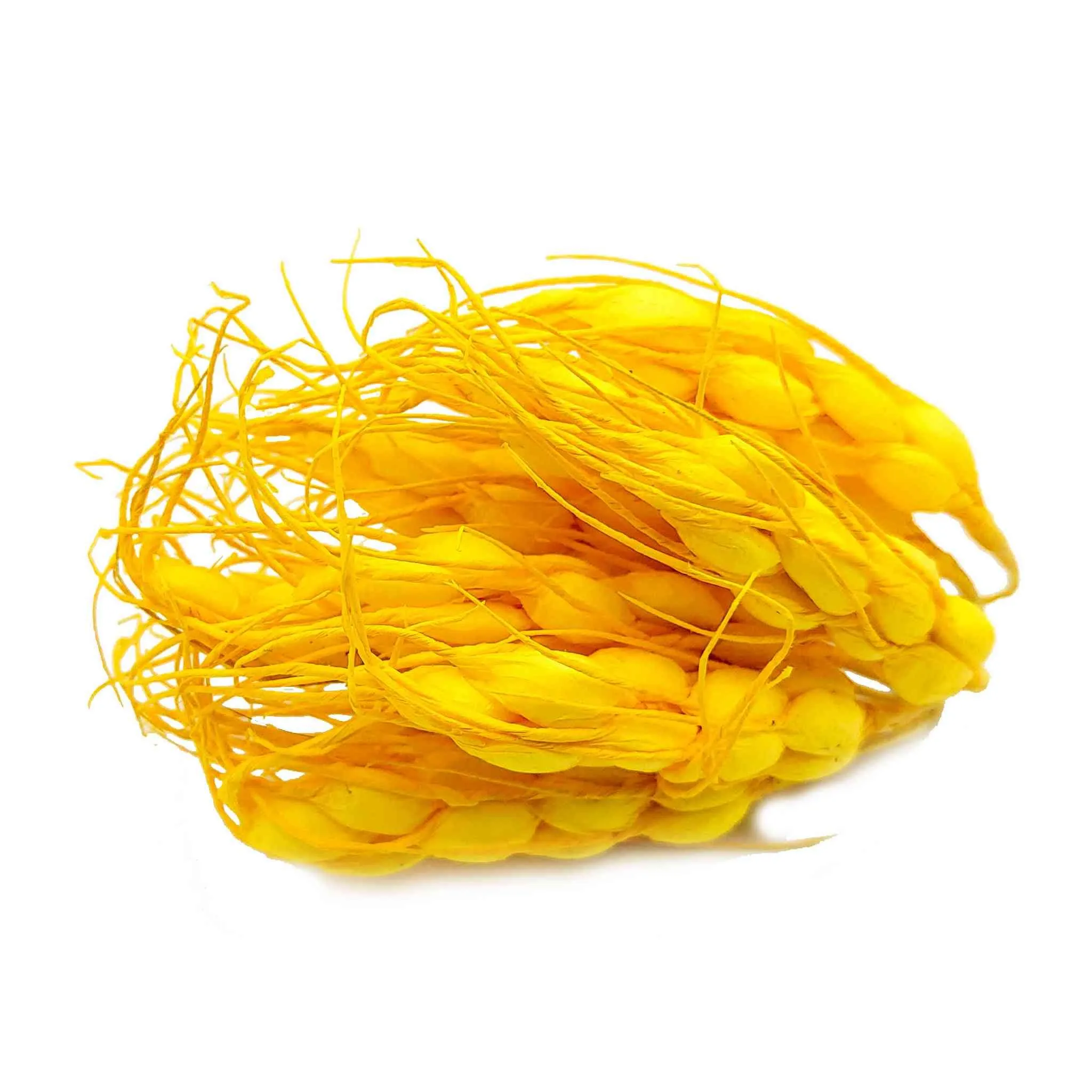 Indian Petals Decorative Artificial Wheat Filler Stick for Decoration Or Craft (15 cm , Foam) - Design 56