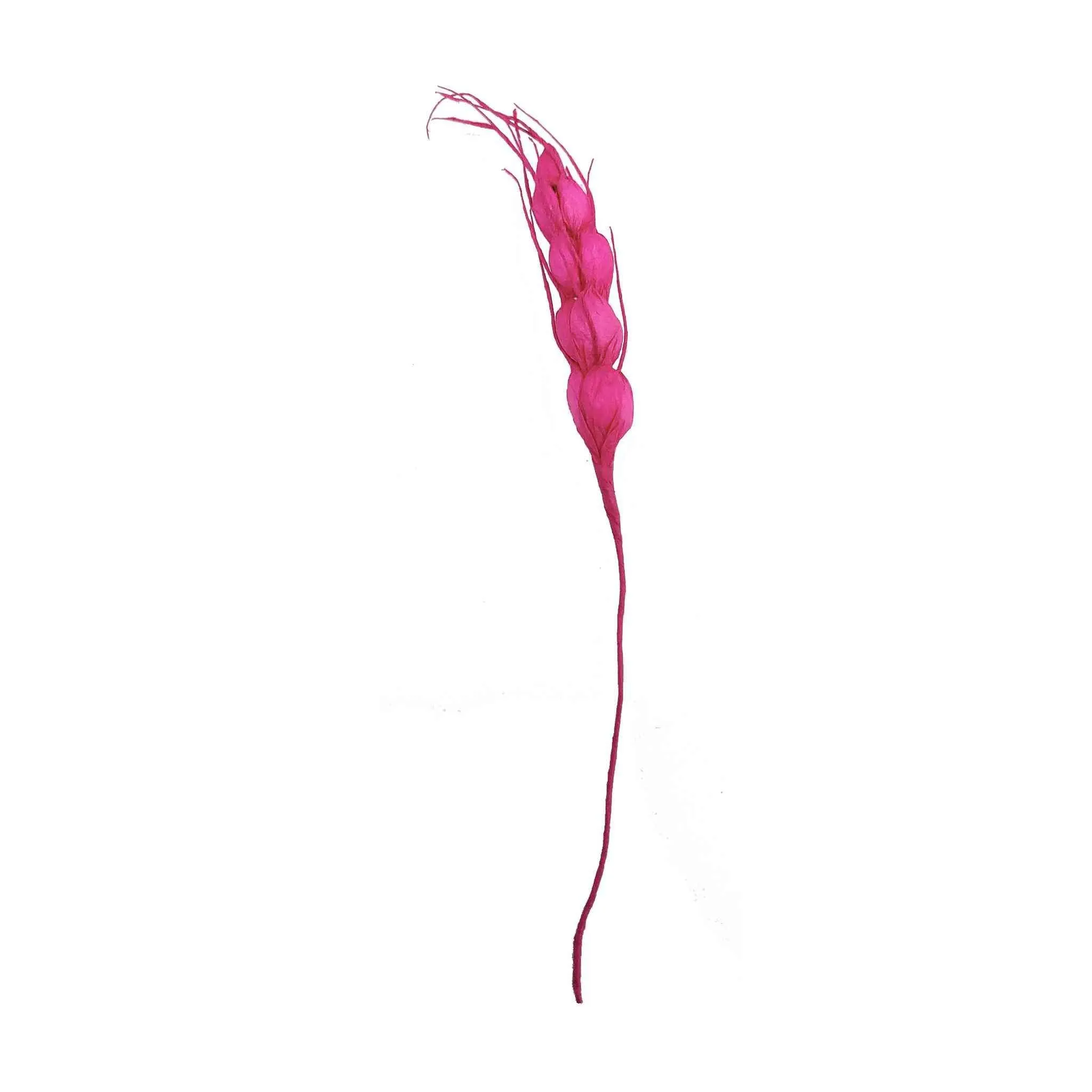 Indian Petals Decorative Artificial Wheat Filler Stick for Decoration Or Craft (15 cm , Foam) - Design 56