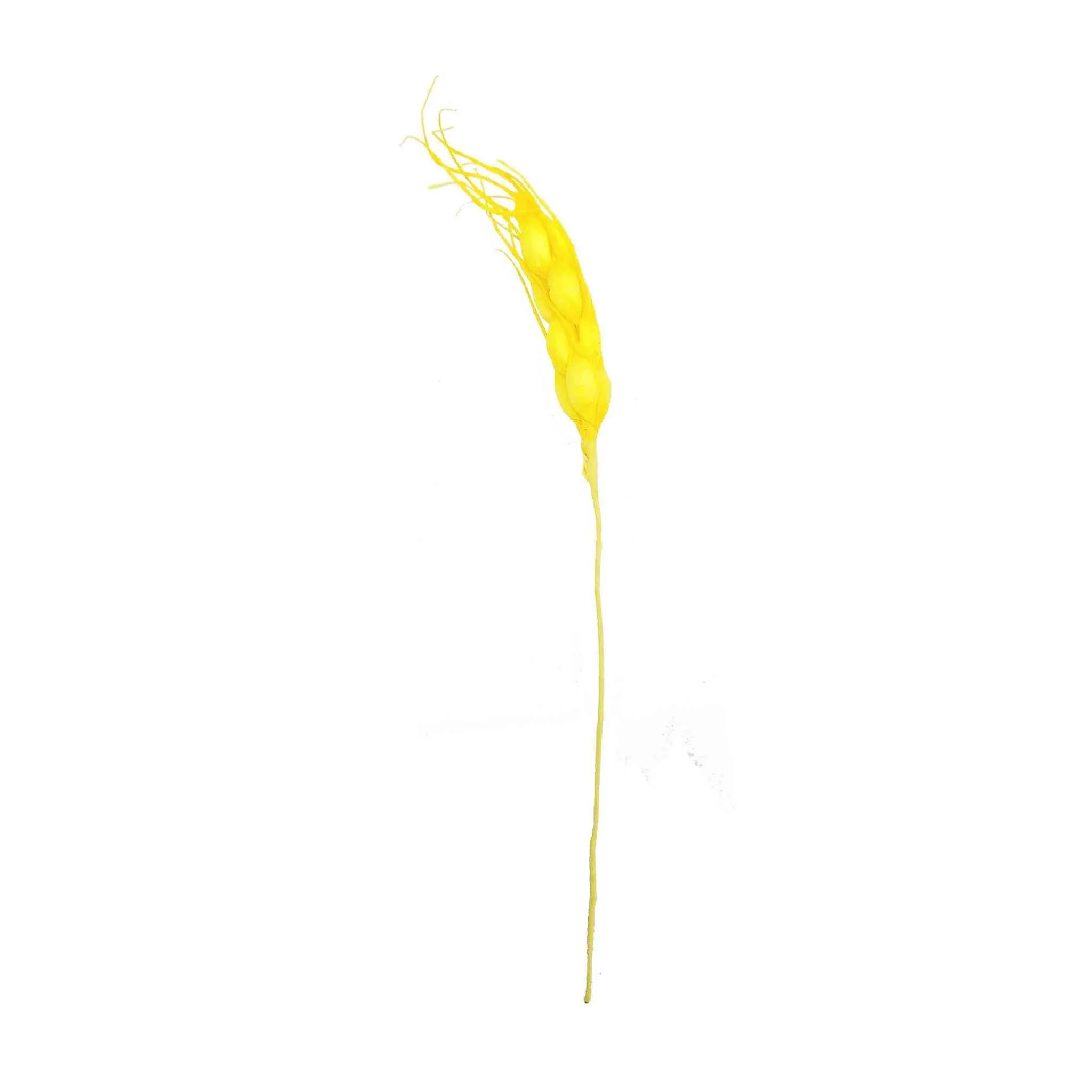Indian Petals Decorative Artificial Wheat Filler Stick for Decoration Or Craft (15 cm , Foam) - Design 56
