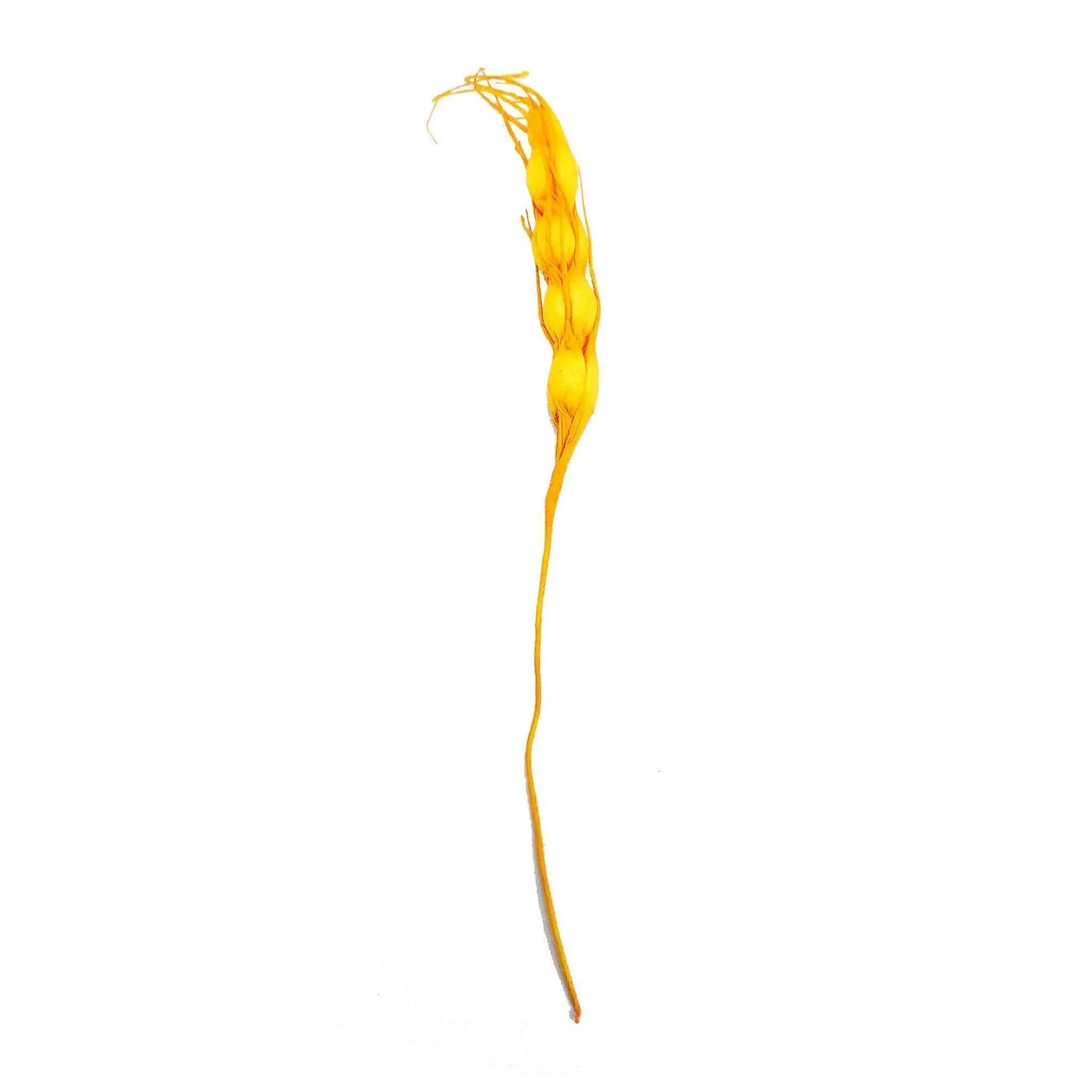 Indian Petals Decorative Artificial Wheat Filler Stick for Decoration Or Craft (15 cm , Foam) - Design 56