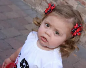 Ladybug Toddler/Infants Hair Bows/ Clippies